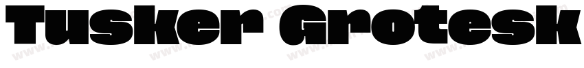 Tusker Grotesk 9800 Supe字体转换
